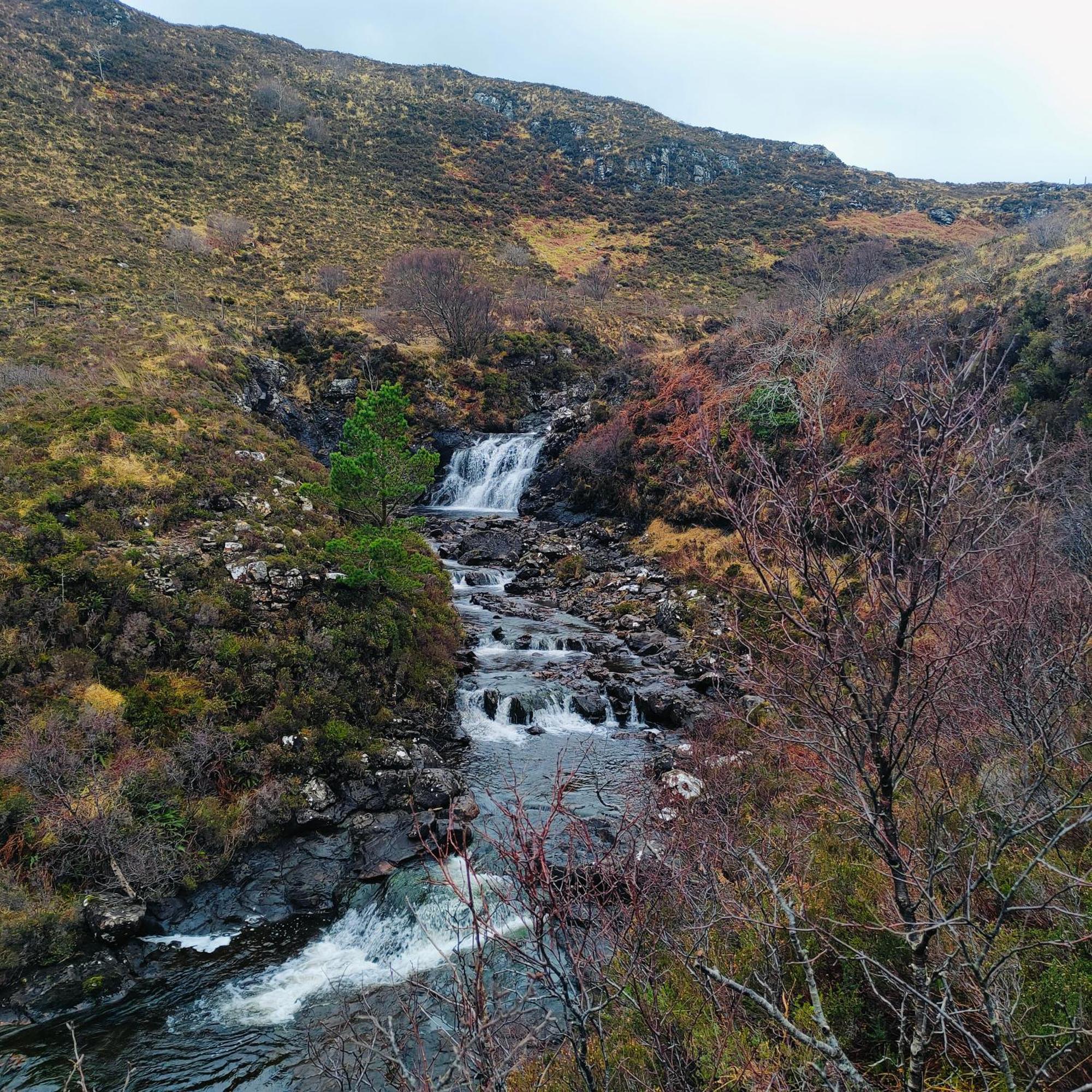 Kintyre Caravan Портри Экстерьер фото