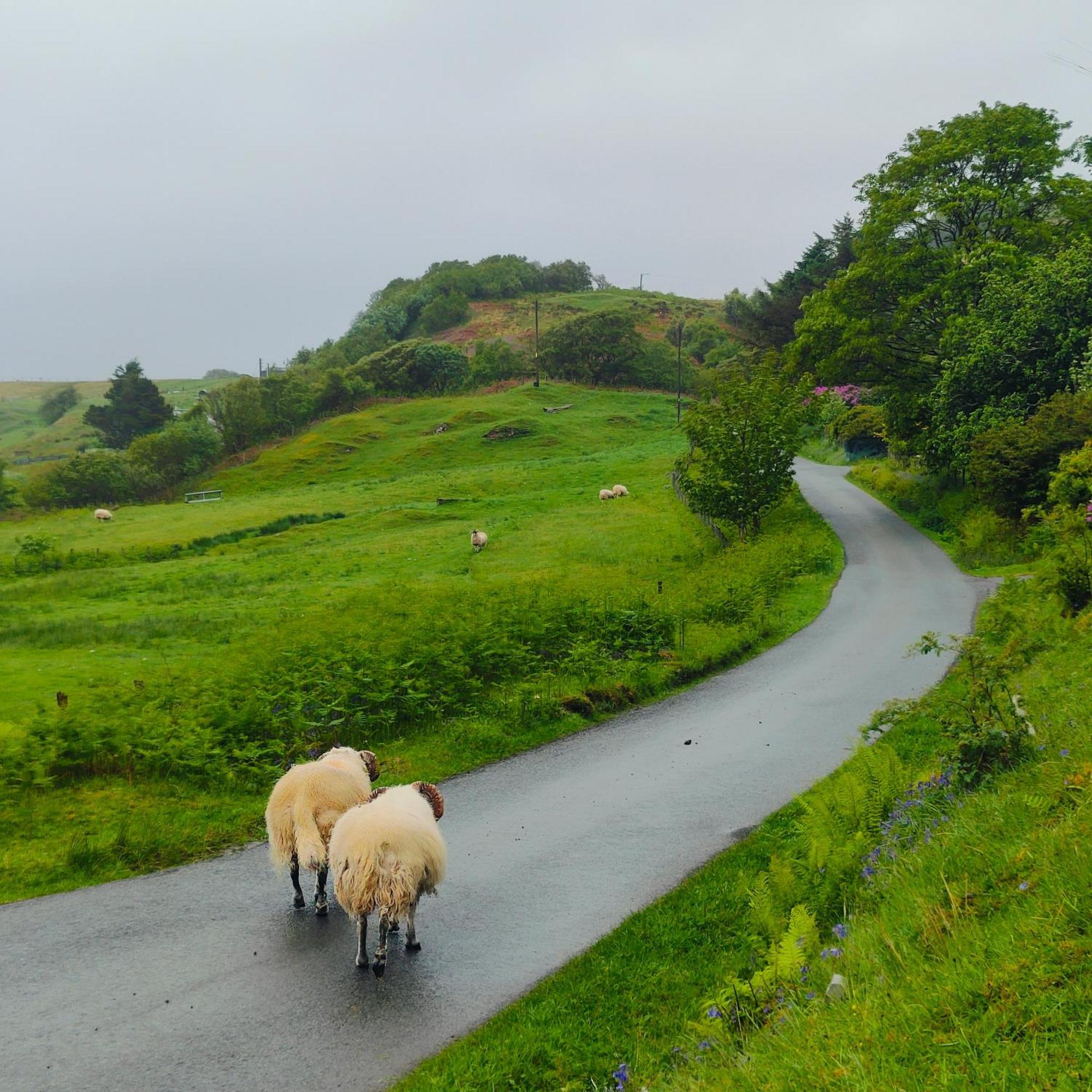 Kintyre Caravan Портри Экстерьер фото