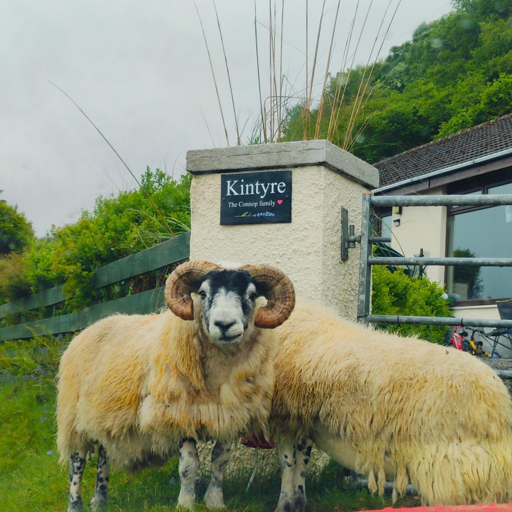 Kintyre Caravan Портри Экстерьер фото